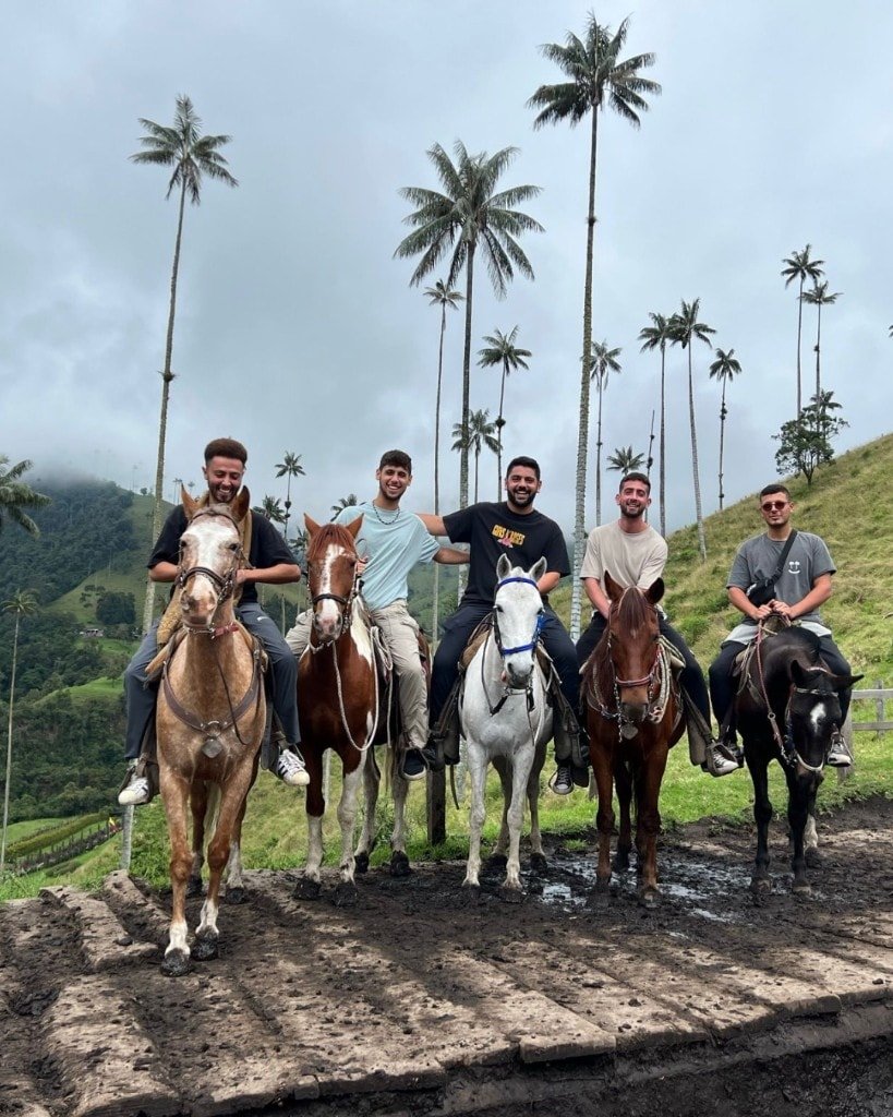 Five young men on horseback, including Ron Shemer in the centre on a white horse, among tall palm trees
